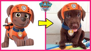 How Paw Patrol Characters Look In Real Life 🐶 + Guess The Paw Patrol Characters by Voice