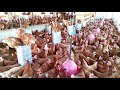 Botando 500 kg de ração para nossas galinhas poedeiras.🐓🥚🚀