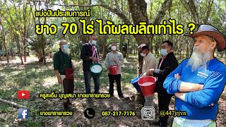 EP.65 พี่น้องจากยโสธรมาแบ่งปันประสบการณ์ ยาง 70 ไร่ ได้ผลผลิตเท่าไร ? 21/12/64