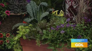 GDL: Porch Pots Direct is helping you decorate for the fall season