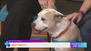 Meet Betty! She's Ready to be Adopted from the Pet Resource Center