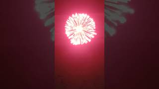 5 inch Red Peony Startrade Feuerwerk