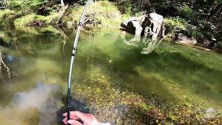 Gunpowder River York Road Fly Fishing for Native Brown Trout 9-24-2022