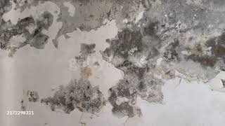 Wet Wall with Water Stains and Damp Patches – Signs of Residential Water Damage.