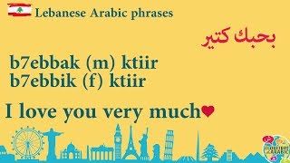 TODAY'S PHRASE IN LEBANESE ARABIC ( LEVANTINE ARABIC ): How to say I LOVE YOU in Lebanese   Dialect