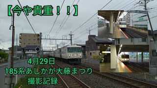 【今や貴重！】　4月29日あしかが大藤まつり2号・4号撮影記録　新白岡・さいたま新都心