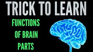 Trick to learn functions of different parts of brain/ Must watch video-NCERT