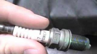 NGK 7 spark plugs look great