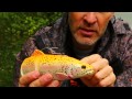 3D TROUT LONG VERSION