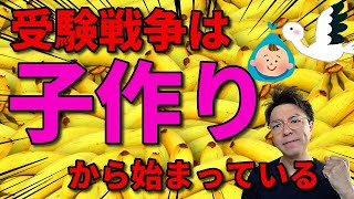 【極秘情報】子供と話すだけで天才にする方法【受験戦争は生まれた瞬間から始まる】