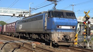 【4K】JR山陽本線　EF200-19号機牽引　2077レ貨物列車