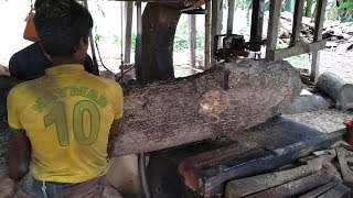 High Quality 2 Mehogany Tree Wood Cutting At Slice By Slice - 