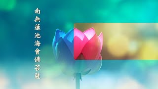 三時繫念精華第十三集｜南無蓮池海會佛菩薩｜淨空老法師 主講