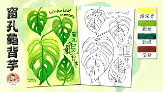 透明水彩-窗孔龜背芋｜Window Leaf Monstera with Watercolor｜洞洞蔓綠絨｜窗孔蔓綠絨｜插畫Illustration｜手繪Drawing｜療癒｜ChiaWen雯子愛畫畫