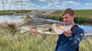 Snook Fishing in the Great Outdoors Florida