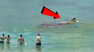 समुद्र के किनारे लोगो ने पकड़ी असली जलपरियां Top 5 Real Mermaids Caught On Camera