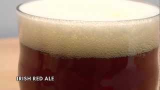 Irish Red Ale Homebrew Recipe Kit