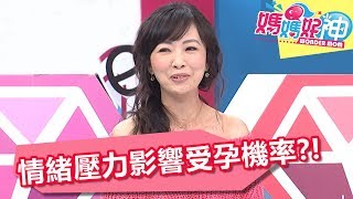 如何提高受孕機率 放鬆調整情緒最重要？！ 媽媽好神 20171226 part2/4 EP166 何嘉文 陳保仁