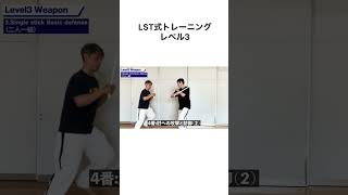 【シングル・スティック】ベーシック・ディフェンス／LST式トレーニング・レベル3