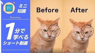 【1分で学べる】Photoshopのコピースタンプツールを使った反転コピー方法 [フォトショップ小技・小ネタテクニック]　#Shorts