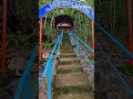 പഞ്ചതീർത്ഥ പരാശക്തിദേവസ്ഥാനം anchukuzhi waterfalls kottayam erumeli