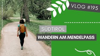 Mit der Mendelbahn hoch zum Mendelpass + Wanderung zur Halbweghütte | VLOG #195 | SÜDTIROL 🇮🇹