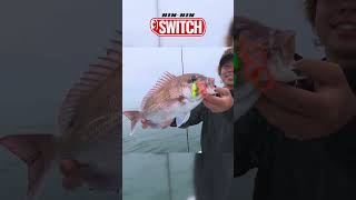 【ビンビンスイッチ】あらゆる魚を虜にする！革新的ルアー！#ビンビンスイッチ#タイラバ  #shorts