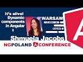 It’s alive! Dynamic components in Angular | Shmuela Jacobs | ngPoland 2018