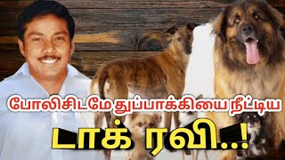 யார் இந்த டாக் ரவி|Dog Ravi|Real story|AdvocatePrabhuRetnam|APR|Sattamedai|சட்டமேடை