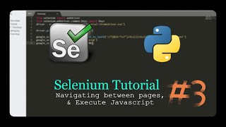 Python Selenium Tutorial #3 - Navigate between page,Switch tab,Open new tab,Execute Javascript Hindi
