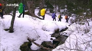 20160228【712】MIT台灣誌 負北極震盪 雪拚台灣 全台追逐雪白的山頭