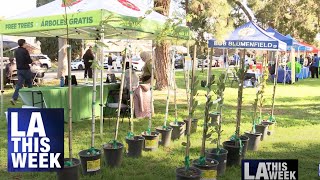 Community Tree Adoption Event