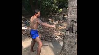 Muay Thai Shin Conditioning with Palm Tree 😮
