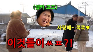 며느리가 시부모님 앞에서 키스를 한다면?ㅋㅋㅋㅋ새해부터 쌍욕 날림ㅋㅋㅋㅋㄱ