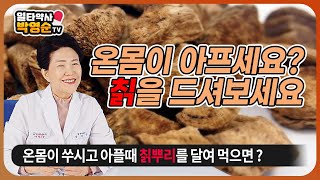 온몸이 아프세요? 😂칡을 드셔보세요☕ 근육통 완화에 도움을 주는 칡에 대해 알아봅시다😎