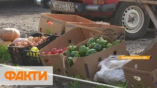 Рынок на путях. Почему товар продается на улице и как с этим бороться