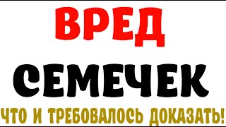 ➤ ВРЕД СЕМЕЧЕК – ЧТО И ТРЕБОВАЛОСЬ ДОКАЗАТЬ ➤ Что будет, если часто есть семечки ➤