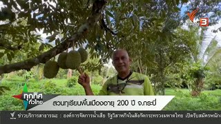 สวนทุเรียนพื้นบ้าน อายุ 200 ปี จ.กระบี่