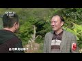 《记住乡愁》第八季 20220303 三澳村——“彩虹海”上话丰年 cctv中文国际