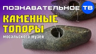 Неудобная история: Каменные топоры Мосальского музея (Познавательное ТВ, Артём Войтенков)