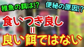 【ベタ飼育】餌のすべてがわかる！？ベタの人工餌選びのポイントをお教えいたします！【完全版】