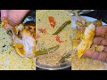 If you eat chicken manti in the expat's room, you will become addicted Malayalam Food Vlog 238