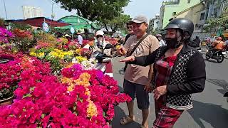 Hoa giấy cháy hàng giờ chót, xe tải miệt mài chạy từ Bến Tre lên Sài Gòn bán trước giao thừa