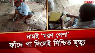 ‘ম রণ পেশা’, ফাঁদে পা দিলেই নিশ্চিত মৃ*ত্যু | Joypurhat Stone | Shil Pata | Desh TV News