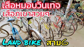 เสือหมอบวินเทจ สวยๆ เสือภูเขา ยี่ห้อดังๆ @Land Bike