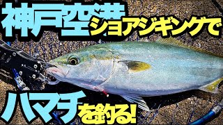 TsukaNishi vs yellowtail