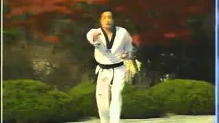 YouTube   17  Taekwondo Poomsae Ilyo WTF