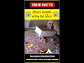 twin brother saves toddler humanity 😭అయ్యో పాపం పిల్లాడు😭 amazingfacts truefacts shorts