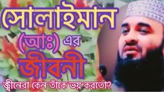 সোলাইমান নবীর জীবনী।। তিনি কিভাবে প্রাণীদের ভাষা বুঝতেন? মিজানুর রহমান আজহারী।।  Hamza Blogs24