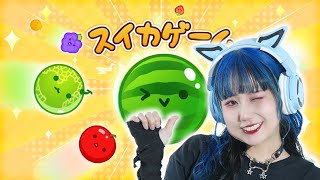 【スイカゲーム】ガチでダブルスイカ作る生配信！！【ゲーム実況】